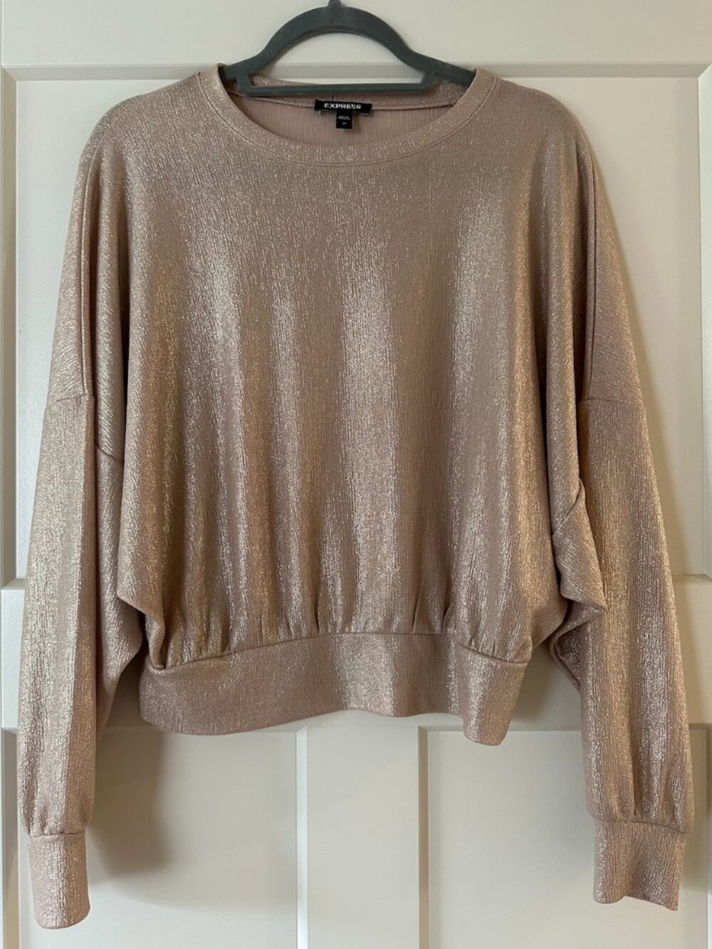 Express Gold Champagne Long-Sleeve Blouse